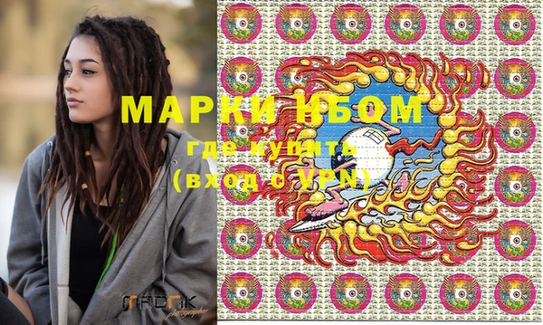 индика Алексин