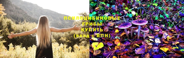 индика Алексин