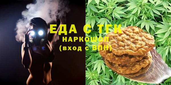 индика Алексин
