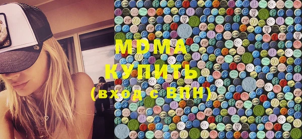 индика Алексин