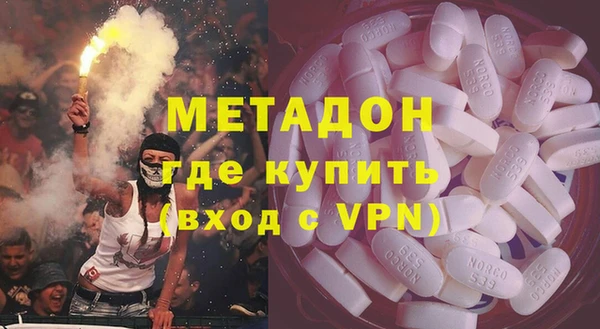 индика Алексин