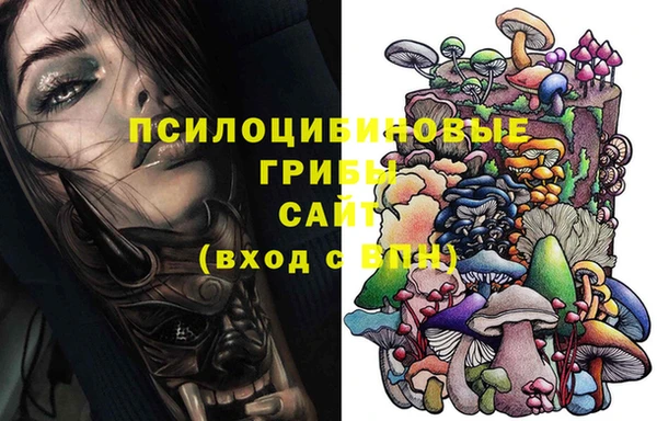 индика Алексин