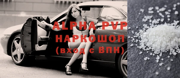 индика Алексин